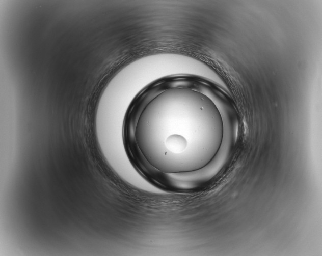 X0000094380696200711021226