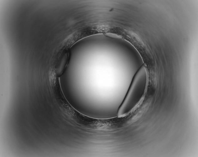X0000094380697200711021226