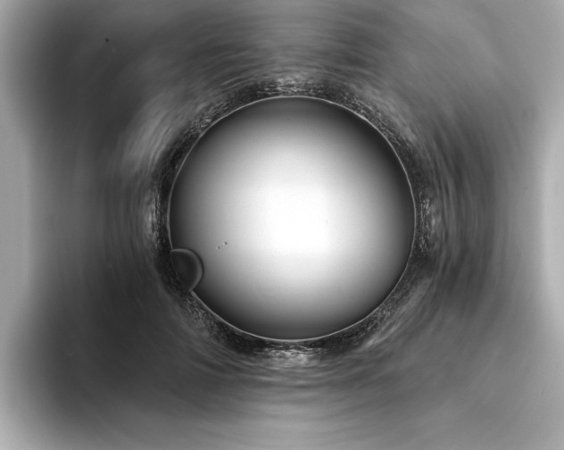 X0000094380698200711021226