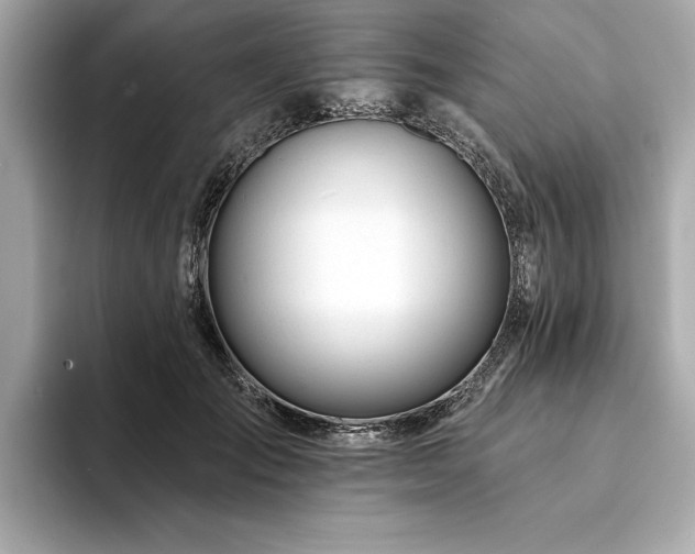 X0000094380701200711021226
