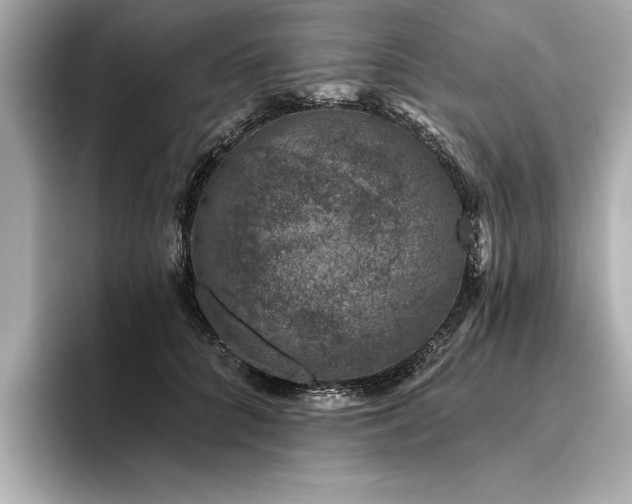 X0000094380704200711021226