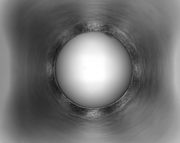 X0000094380705200711021226