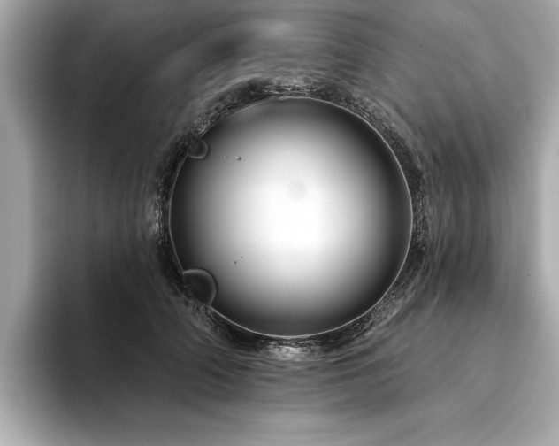 X0000094380706200711021226