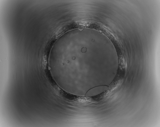 X0000094380707200711021226
