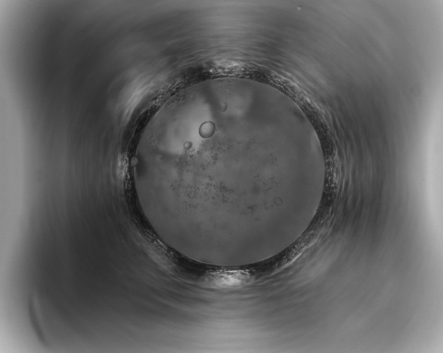 X0000094380711200711021226