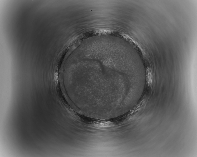 X0000094380716200711021226