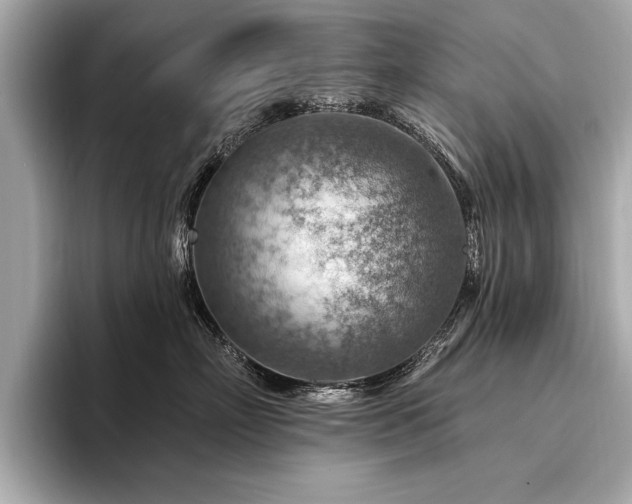 X0000094380718200711021226