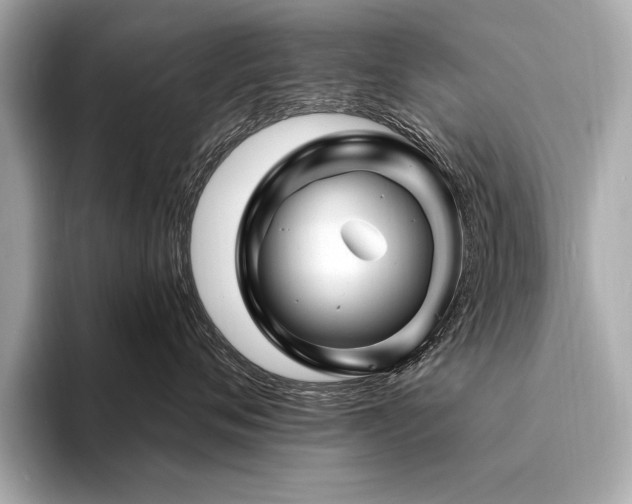 X0000094380720200711021226