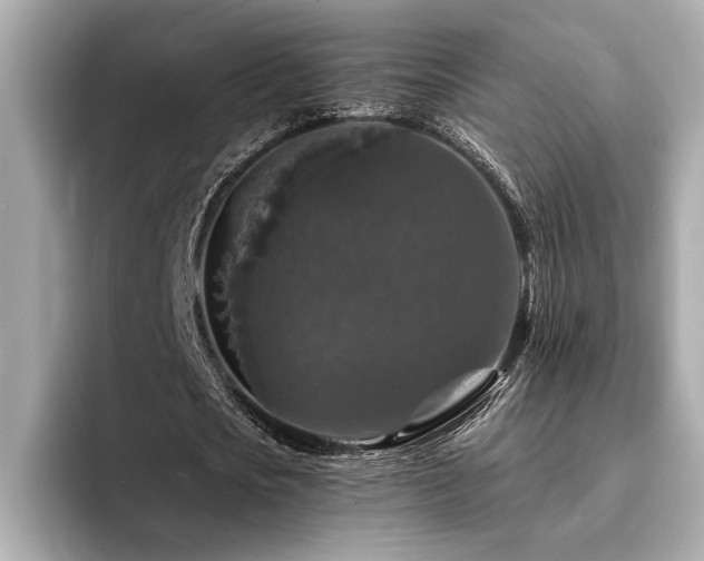 X0000094380721200711021225