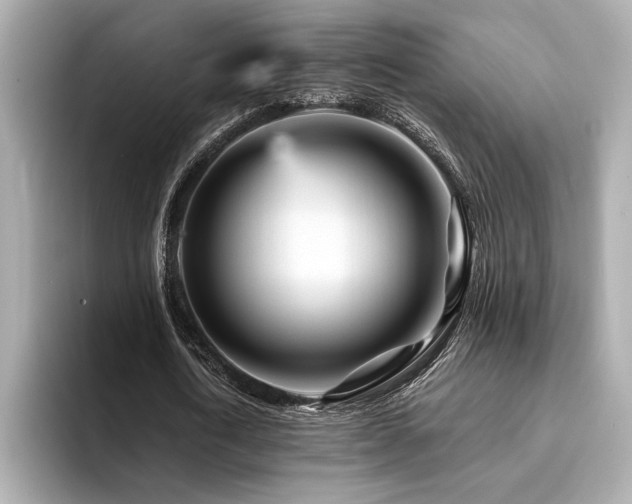 X0000094380722200711021225
