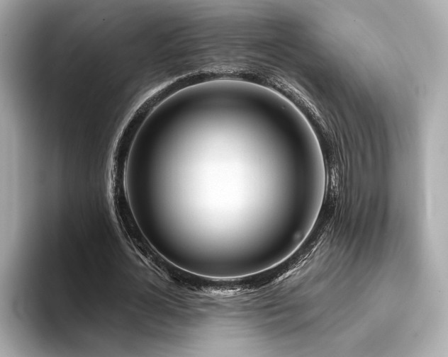 X0000094380724200711021225