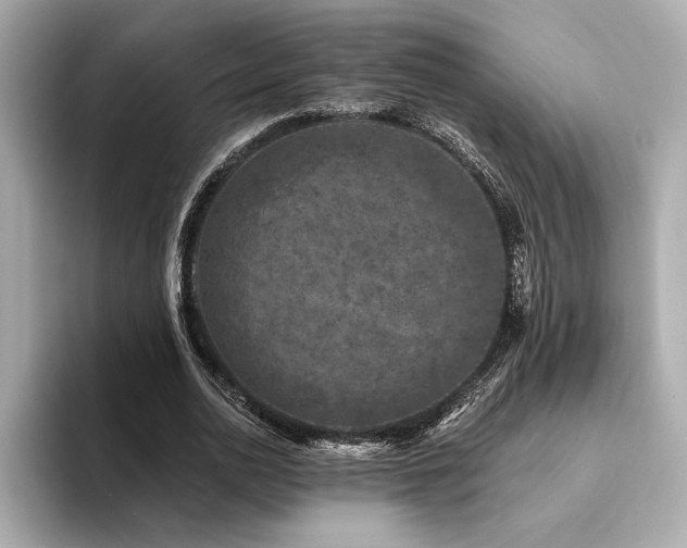 X0000094380726200711021225