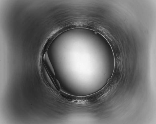 X0000094380727200711021225