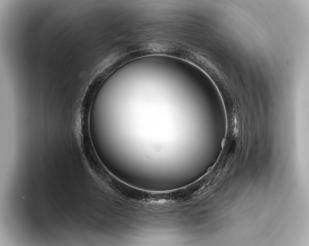 X0000094380730200711021225