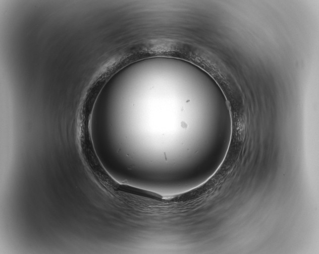 X0000094380732200711021225