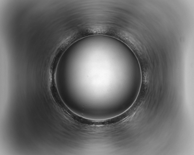 X0000094380733200711021225