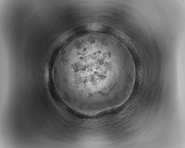 X0000094380734200711021225