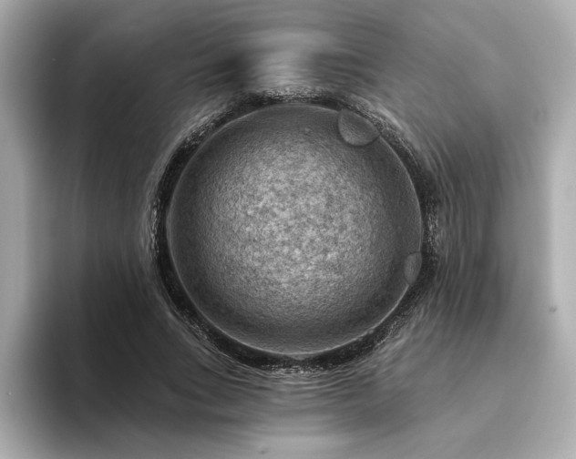 X0000094380735200711021225