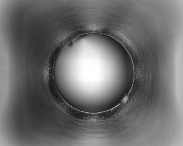X0000094380736200711021225
