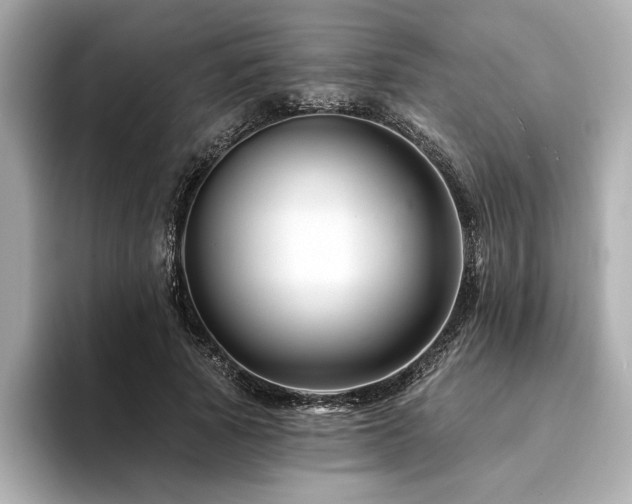 X0000094380737200711021225