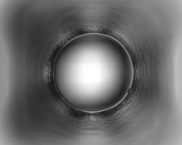 X0000094380739200711021225