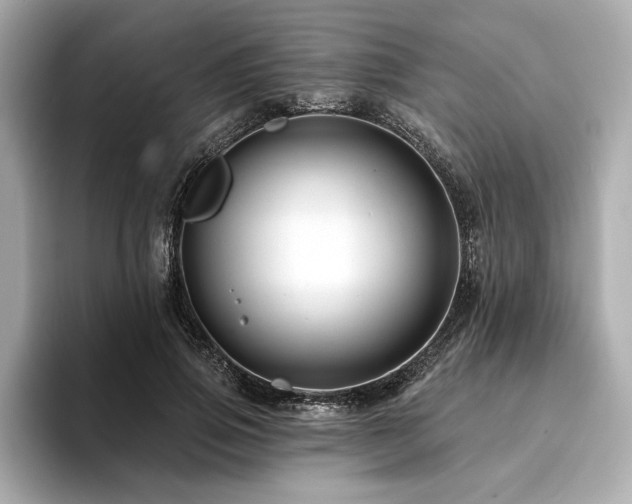 X0000094380741200711021226
