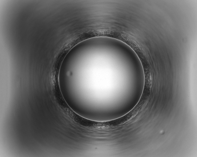 X0000094380746200711021226