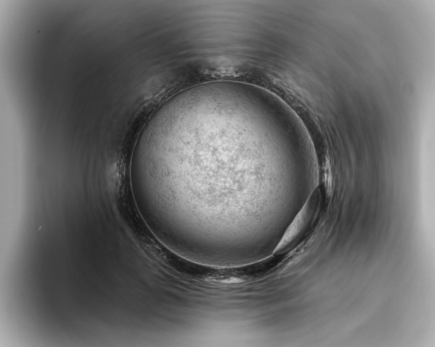 X0000094380747200711021226
