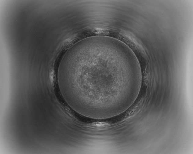 X0000094380748200711021226