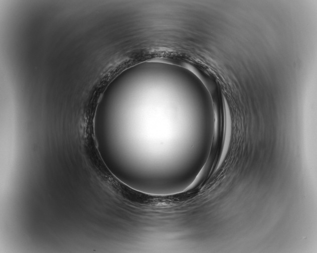 X0000094380750200711021226