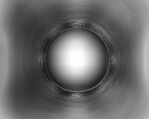 X0000094380753200711021226