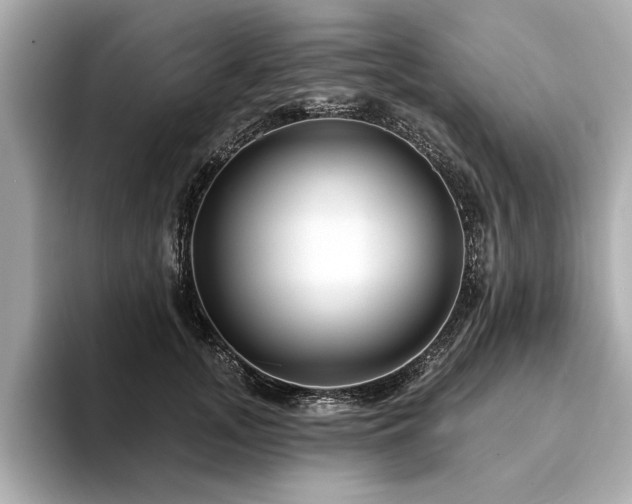 X0000094380755200711021226