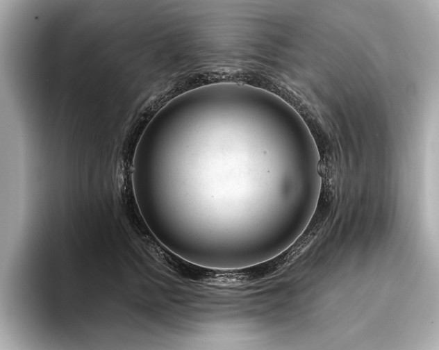 X0000094380758200711021226