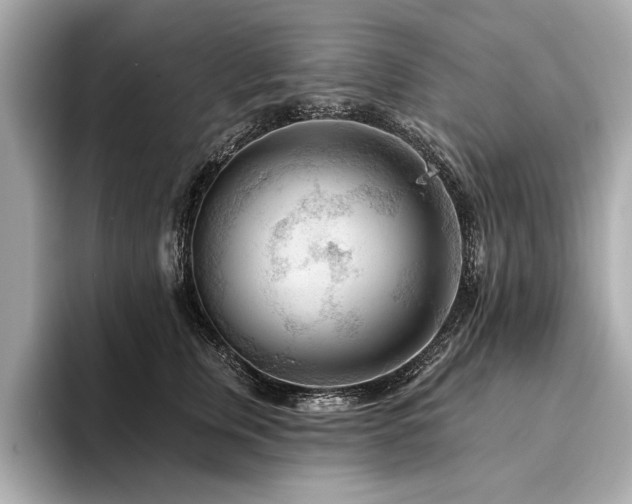 X0000094380759200711021226