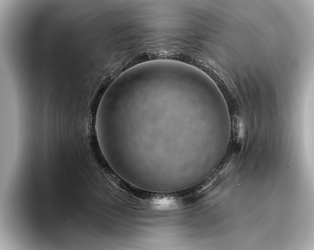 X0000094380760200711021226
