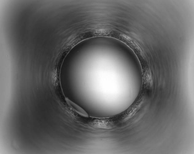 X0000094380764200711021226