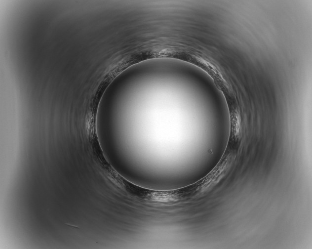 X0000094380766200711021226