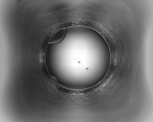 X0000094380770200711021225