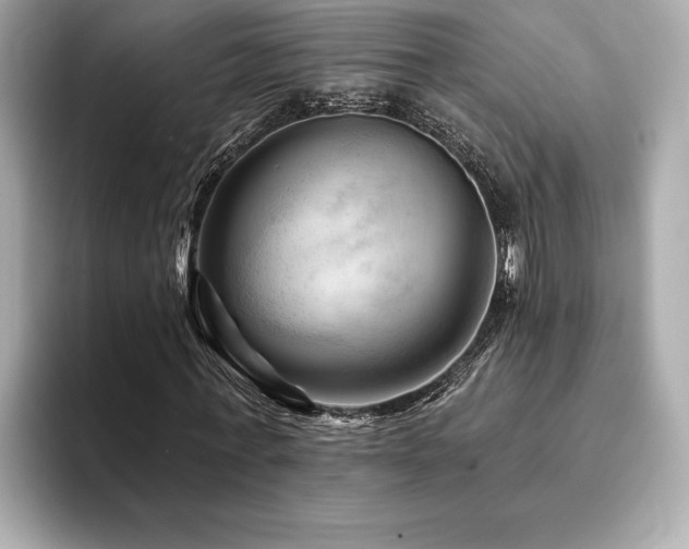 X0000094380771200711021225
