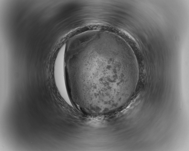 X0000094380775200711021225