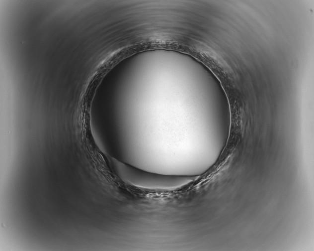 X0000094380776200711021225