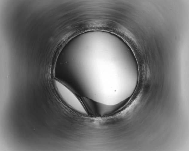X0000094380777200711021225
