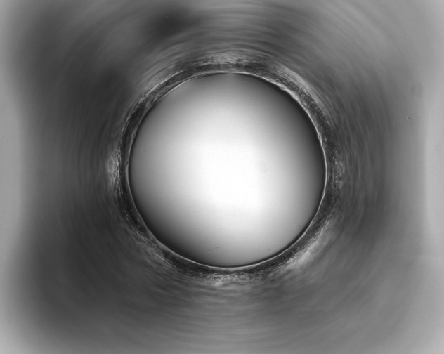 X0000094380778200711021225