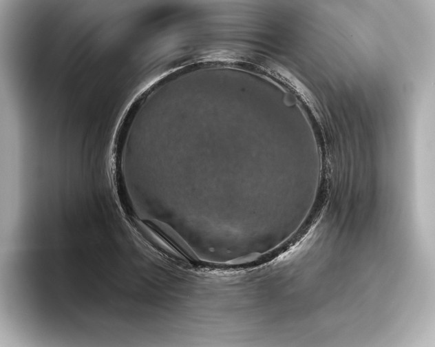 X0000094380779200711021225