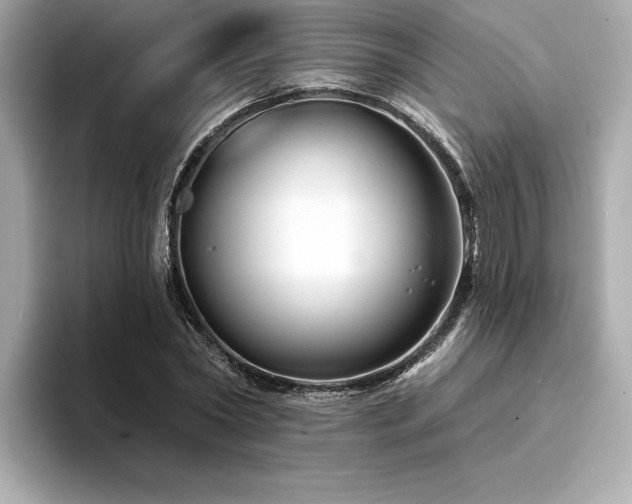 X0000094380782200711021225