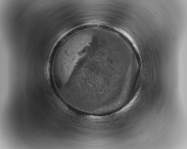 X0000094380783200711021225