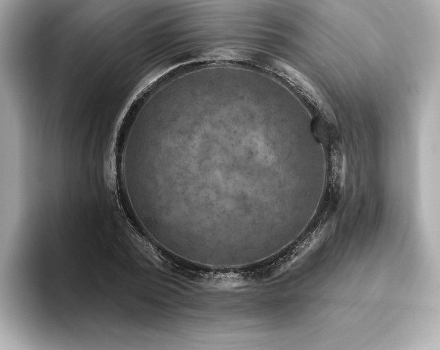 X0000094380784200711021225