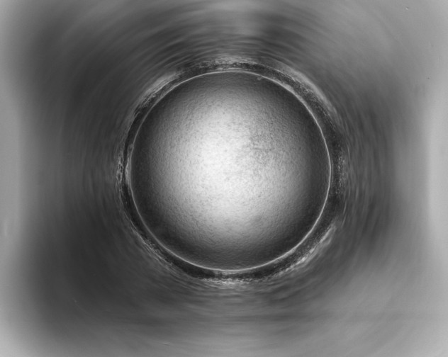 X0000094380785200711021225