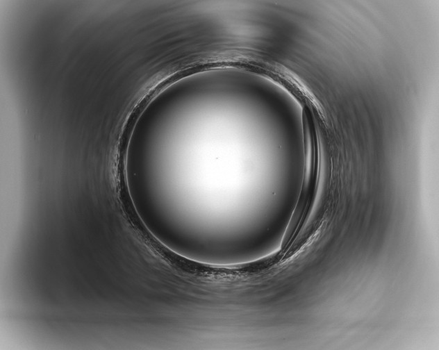 X0000094380786200711021225