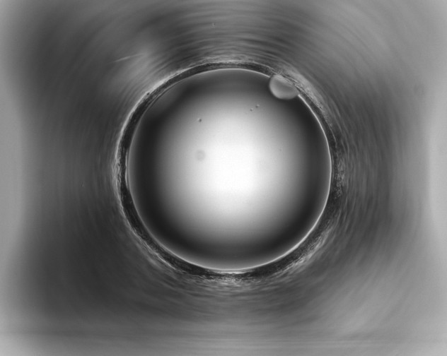 X0000094380787200711021225
